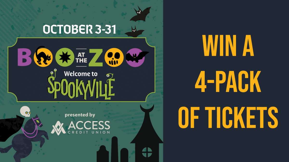 QX Nation Family Day - Boo At the Zoo